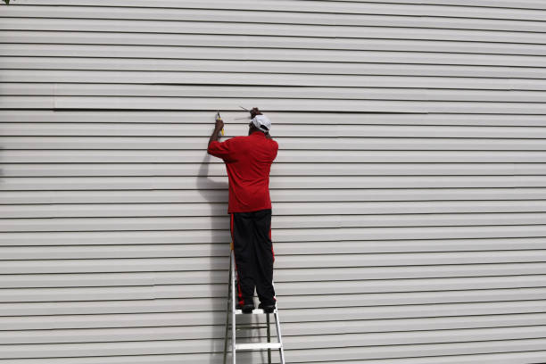 Best Steel Siding Installation  in Great Falls, SC